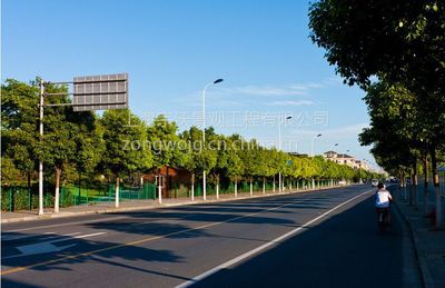 融合生態(tài)與都市 上海道路綠化工程施工與景觀設(shè)計(jì)深度解析